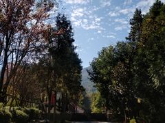 -天龙八部武侠城