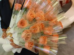 -极光口腔·矫正种植修复(锦江店)