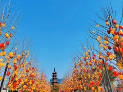 -龙华寺