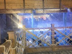 -海合安青岛极地海洋公园