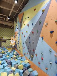-反弹蹦床公园·运动乐园·团建·亲子派对(深圳观澜湖店)