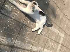 -杨记跷脚牛肉面(临汾鼓楼广场店)