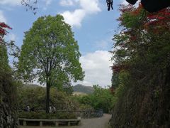 -天台山琼台仙谷景区