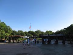 -奥兰多迪士尼动物王国乐园