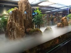 -泰谷酒店·太古码头闽菜自助餐厅