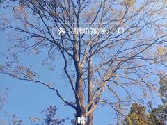 -青龙山国家森林公园