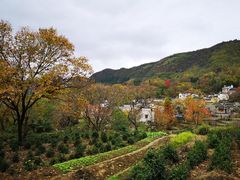 -塔川景区