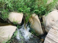 -碓臼峪自然风景区