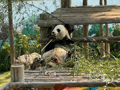 -西霞口神雕山野生动物世界