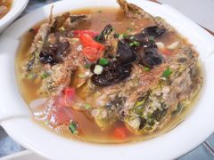 -武汉世外桃源农庄