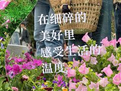 -西苑公园