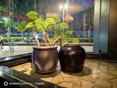 -炳胜公馆(珠江新城店)