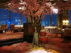 -金轩中餐厅 Jin Xuan(浦东丽思卡尔顿酒店)