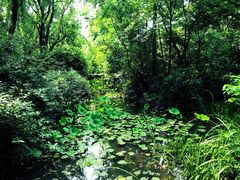 -洛阳市隋唐城遗址植物园