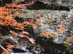 -丹东天桥沟景区