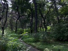 -长春市南湖公园