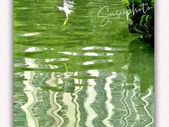 -苏州河梦清园环保主题公园