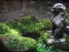 -植觉