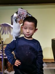 -未来动物城动物主题公园(大悦城店)