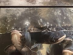 -上名堂·鱼头好吃(体育场路店)