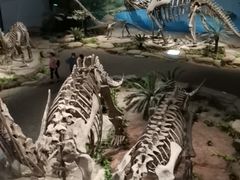 -自贡恐龙博物馆