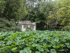 -三苏祠