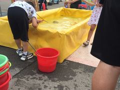 -府君山公园