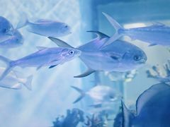 -常州海昌海洋探索馆