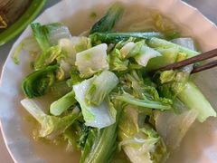 -罗布林卡