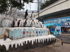 -重庆欢乐海底世界