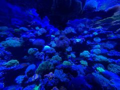 -太平洋海底世界