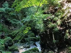 -藏龙百瀑风景区