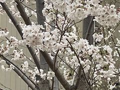 -山东省千佛山医院