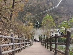 -栾川竹海野生动物园