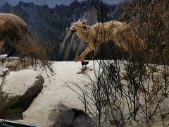 -陕西自然博物馆