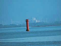-深圳湾公园(南山区)