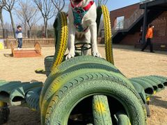 -太阳岛度假酒店