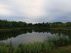 -东郊湿地公园