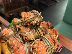 -牛New寿喜烧(闵行龙湖天街店)