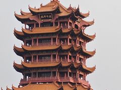 -郑记•不夜城烧烤•龙虾•虾蟹(黄鹤楼店)