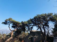 -崂山仰口游览区