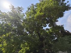 -洛阳周公庙博物馆