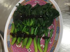 -大中鱼翅 Taitong Shark Fin