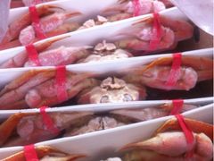 iphone_upload_pic-外高桥超市
