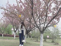 -白塘生态植物园