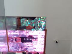 -贝壳王国博物馆