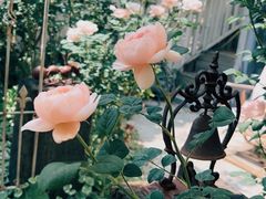 -三仟津花园咖啡馆