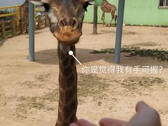 -西霞口神雕山野生动物世界