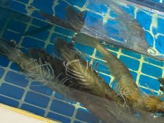 -大锅强·蒸海鲜青岛菜(吾悦广场店)