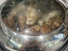 -大锅强·蒸海鲜青岛菜(吾悦广场店)